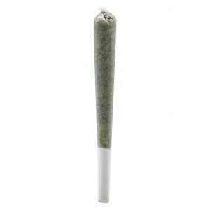 Rosin Roll Infused Pre-Roll